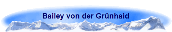 Bailey von der Grünhaid